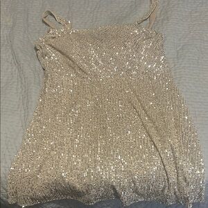 Sparkling Sequin Dress